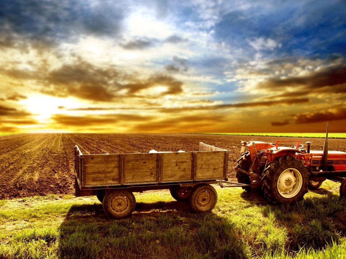 Обои небо, поле, трактор, телега, the sky, field, tractor, cart разрешение 2560x1600 Загрузить