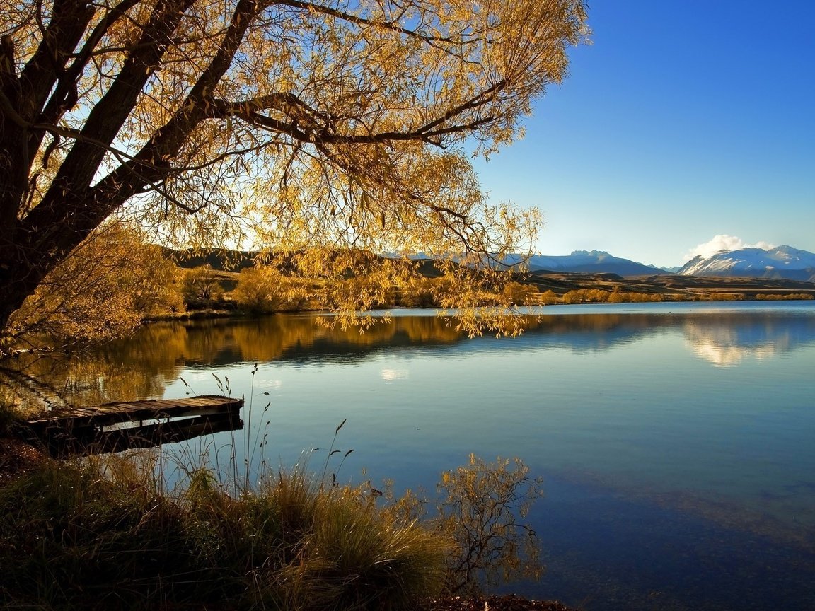 Обои озеро, новая зеландия, alexandrina, lake, new zealand разрешение 1920x1200 Загрузить