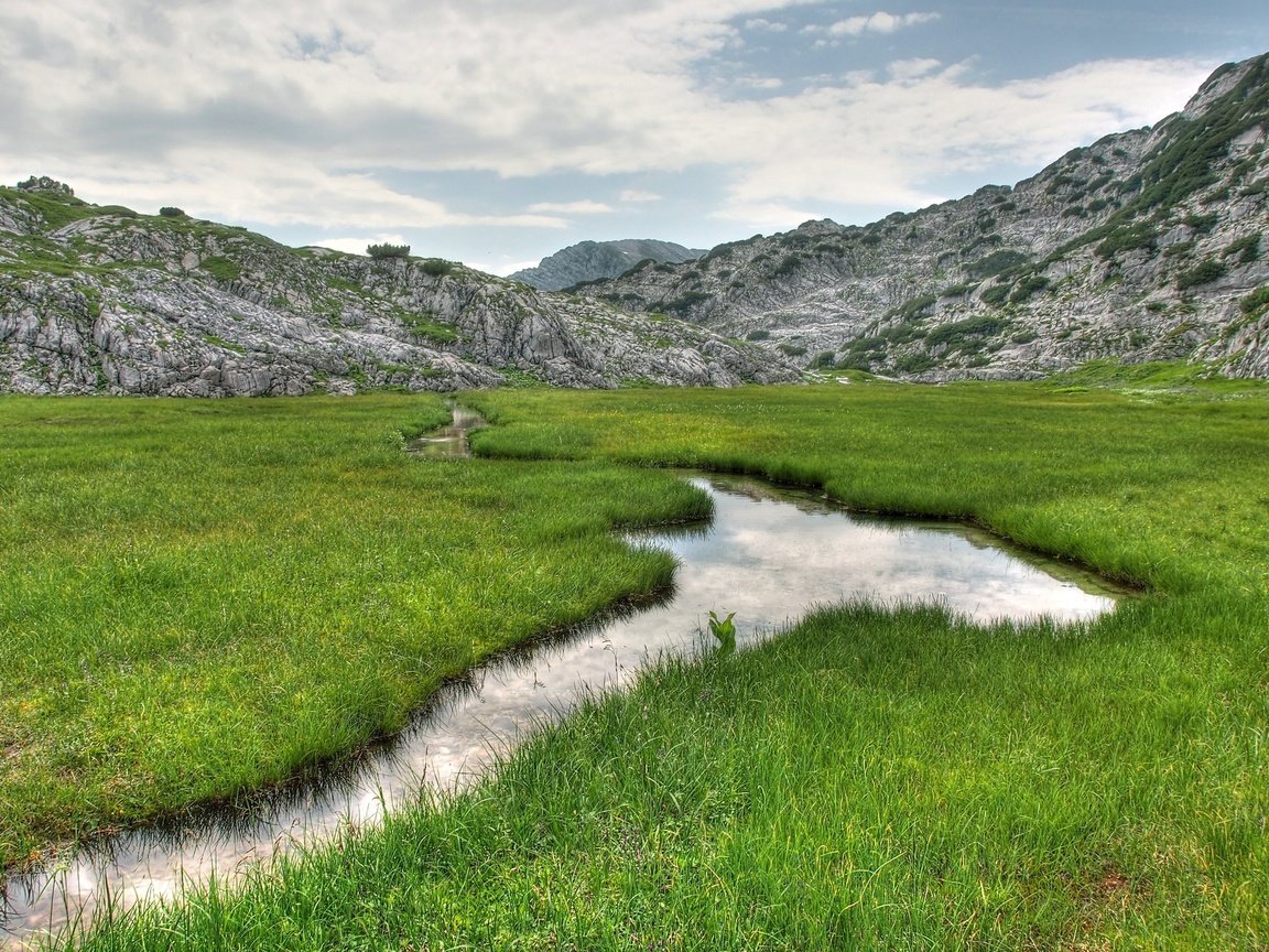 Обои трава, горы, природа, ручей, пейзаж., grass, mountains, nature, stream, landscape. разрешение 2560x1600 Загрузить