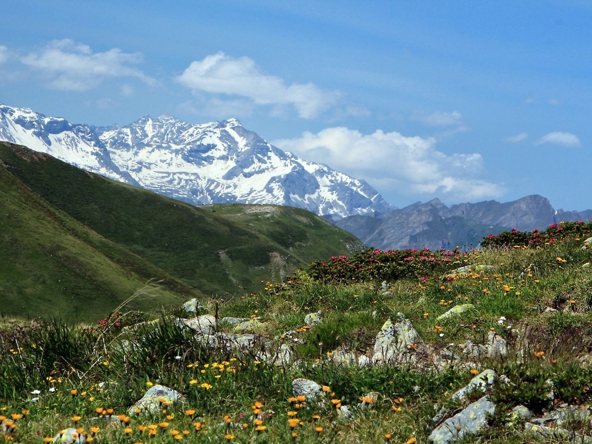 Обои италия, перевал пенсер-йох, italy, pass spencer-joch разрешение 2560x1440 Загрузить