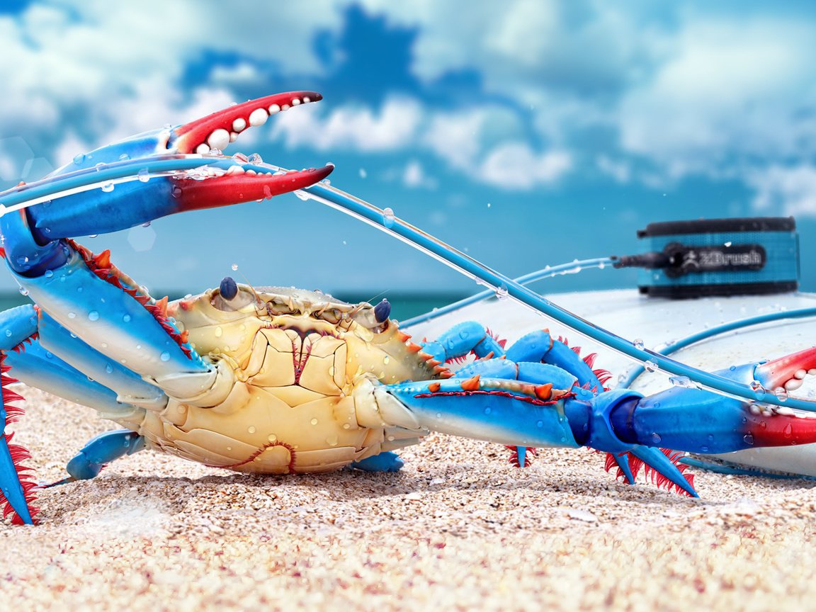 Обои краб, 3д, blue crab, цифровое искусство, crab, 3d, digital art разрешение 1920x1080 Загрузить