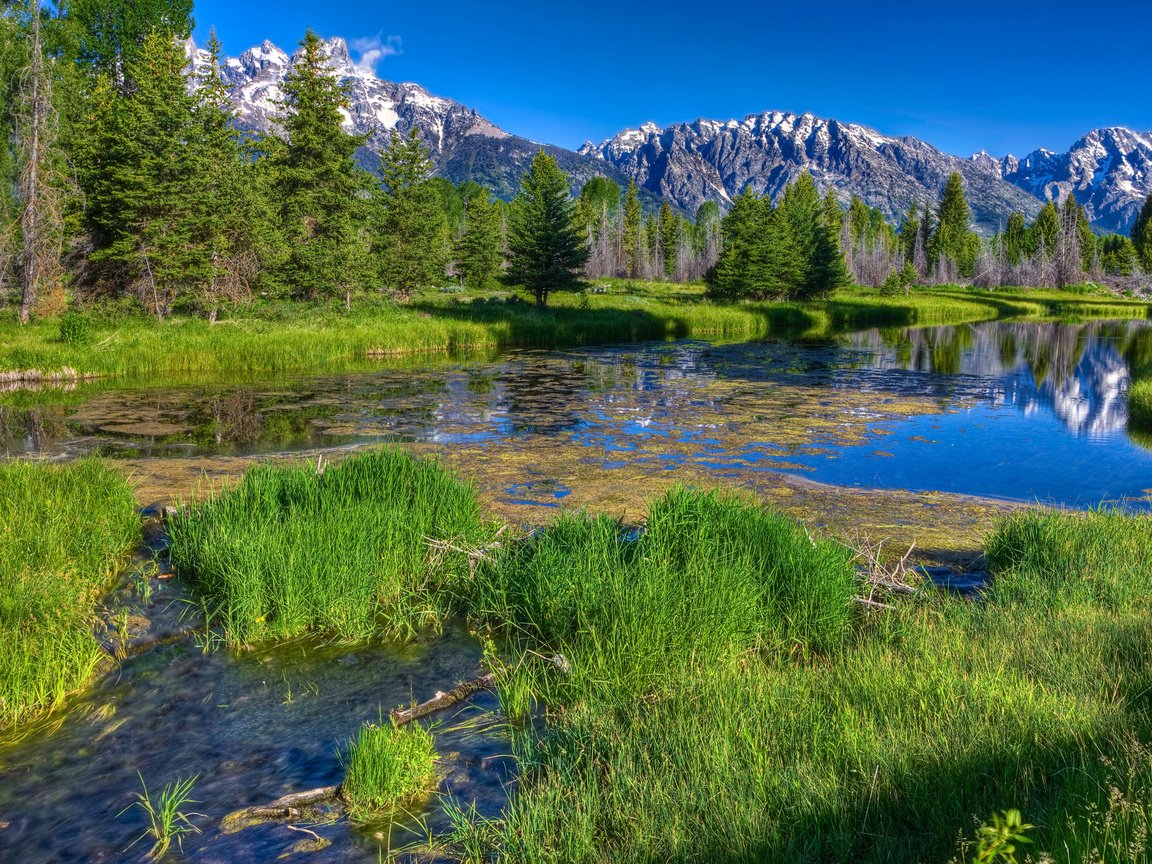 Обои трава, деревья, река, горы, лес, даль, зеленая, речка, grass, trees, river, mountains, forest, dal, green разрешение 2560x1600 Загрузить