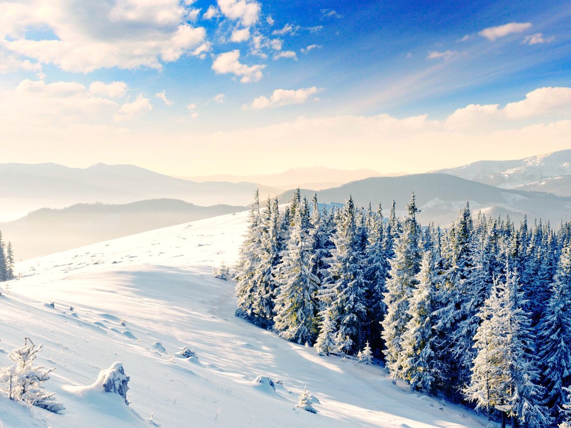 Обои горы, снег, лес, зима, mountains, snow, forest, winter разрешение 2560x1600 Загрузить