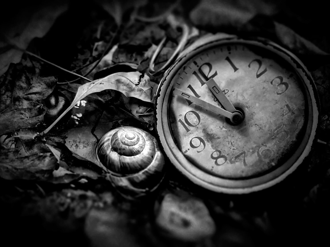 Обои чёрно-белое, часы, время, циферблат, black and white, watch, time, dial разрешение 2048x1366 Загрузить