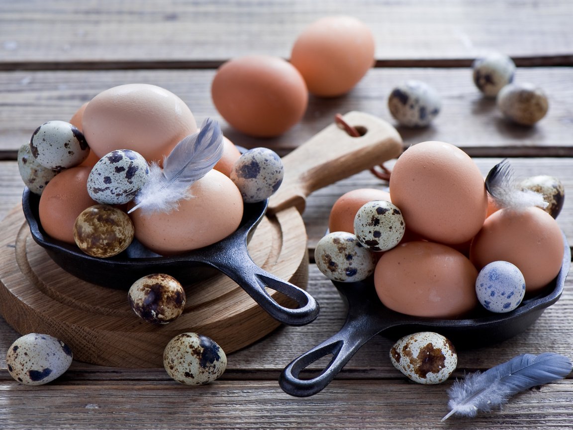 Обои яйца, куриные, anna verdina, перепелиные, яицо, eggs, chicken, quail, egg разрешение 2000x1331 Загрузить