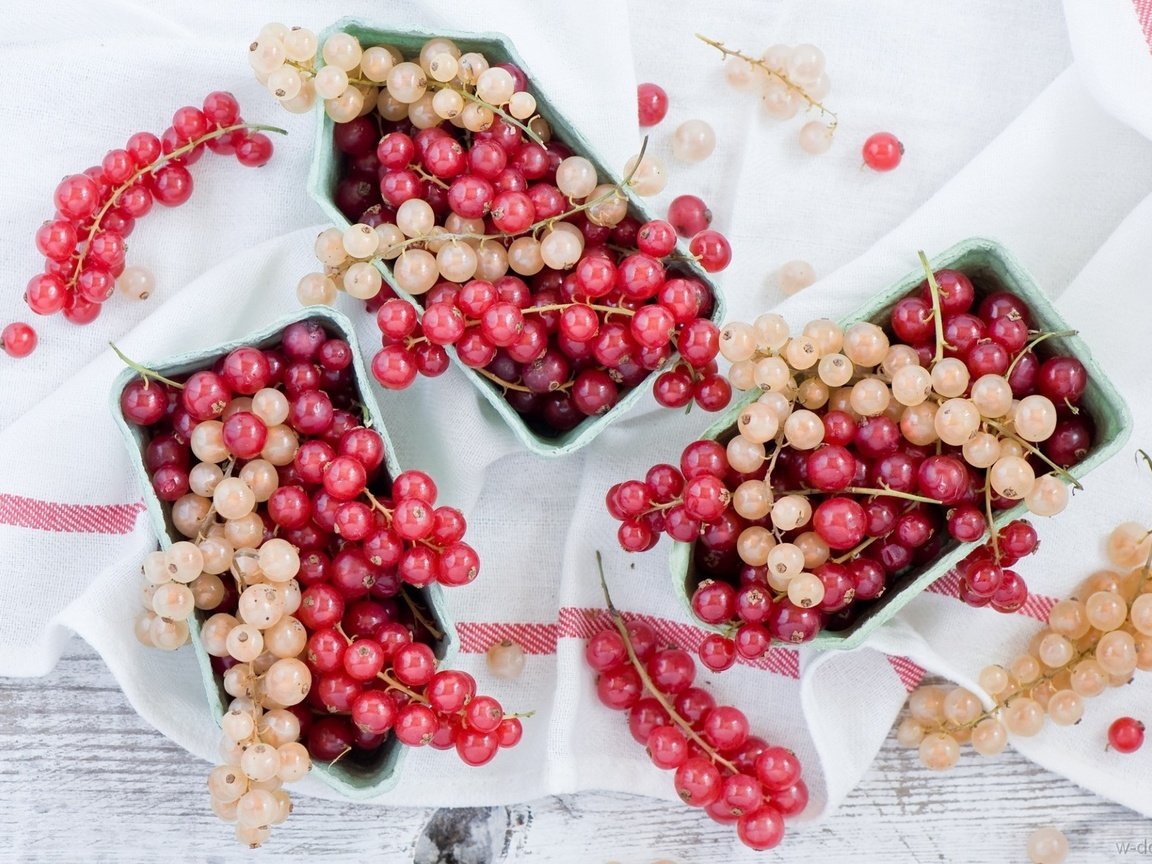 Обои красная, ягоды, белая, смородина, кисти, red, berries, white, currants, brush разрешение 1920x1292 Загрузить