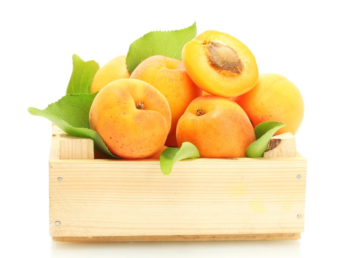 Обои фрукты, ящик, абрикосы, fruit, box, apricots разрешение 9294x6912 Загрузить
