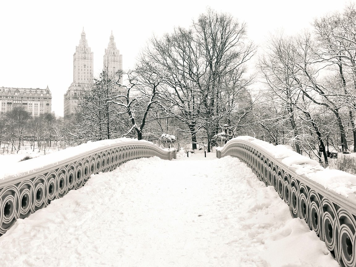 Обои снег, зима, мост, чёрно-белое, нью йорк, центральный парк, snow, winter, bridge, black and white, new york, central park разрешение 1920x1200 Загрузить