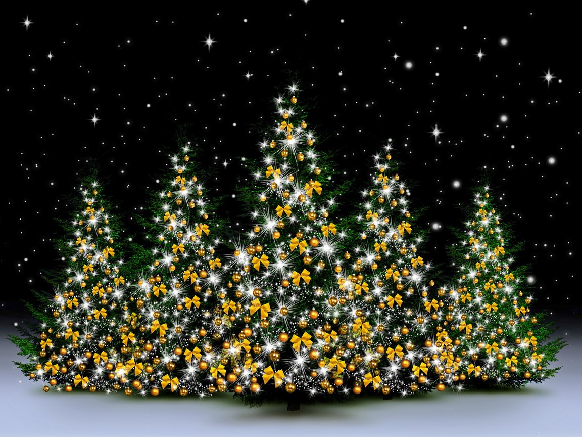 Обои снег, новый год, елка, зима, рождество, декорация, елочная, merry, snow, new year, tree, winter, christmas, decoration разрешение 6750x4500 Загрузить