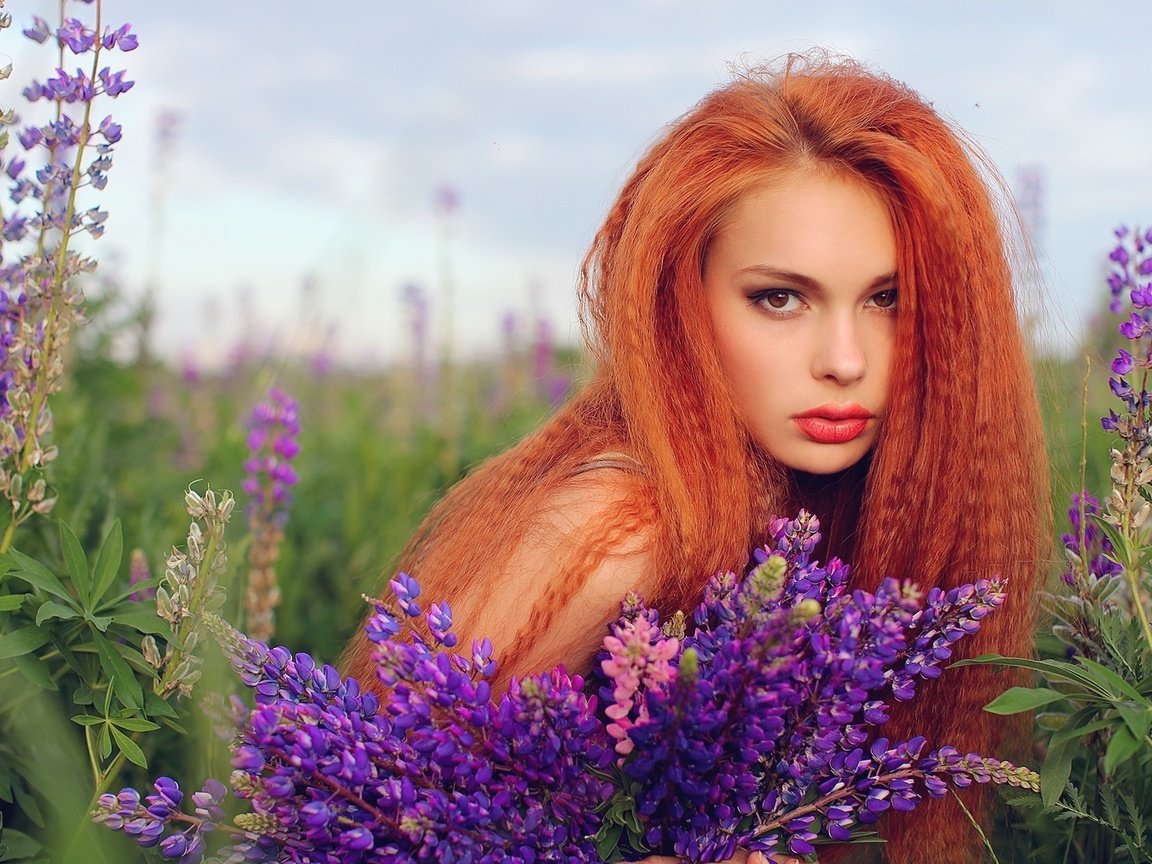 Обои цветы, девушка, рыжая, волосы, губы, люпин, flowers, girl, red, hair, lips, lupin разрешение 2000x1227 Загрузить