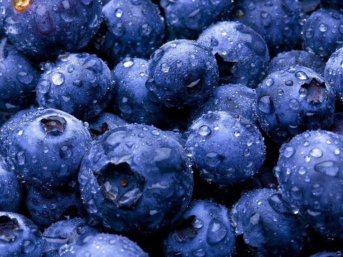 Обои макро, капли, ягоды, черника, macro, drops, berries, blueberries разрешение 2500x1406 Загрузить
