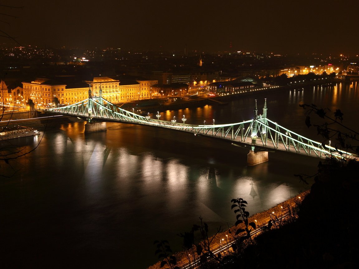 Обои ночь, огни, река, венгрия, будапешт, дунай, мост свободы, night, lights, river, hungary, budapest, the danube, liberty bridge разрешение 3861x2574 Загрузить