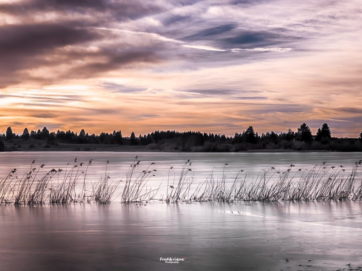 Обои озеро, закат, камыш, lake, sunset, reed разрешение 5472x3080 Загрузить