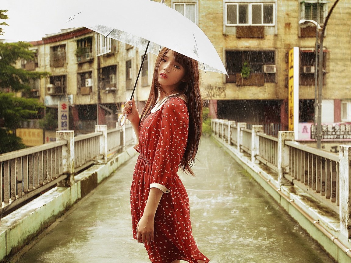 Обои девушка, брюнетка, мост, дождь, зонт, азиатка, girl, brunette, bridge, rain, umbrella, asian разрешение 1920x1200 Загрузить