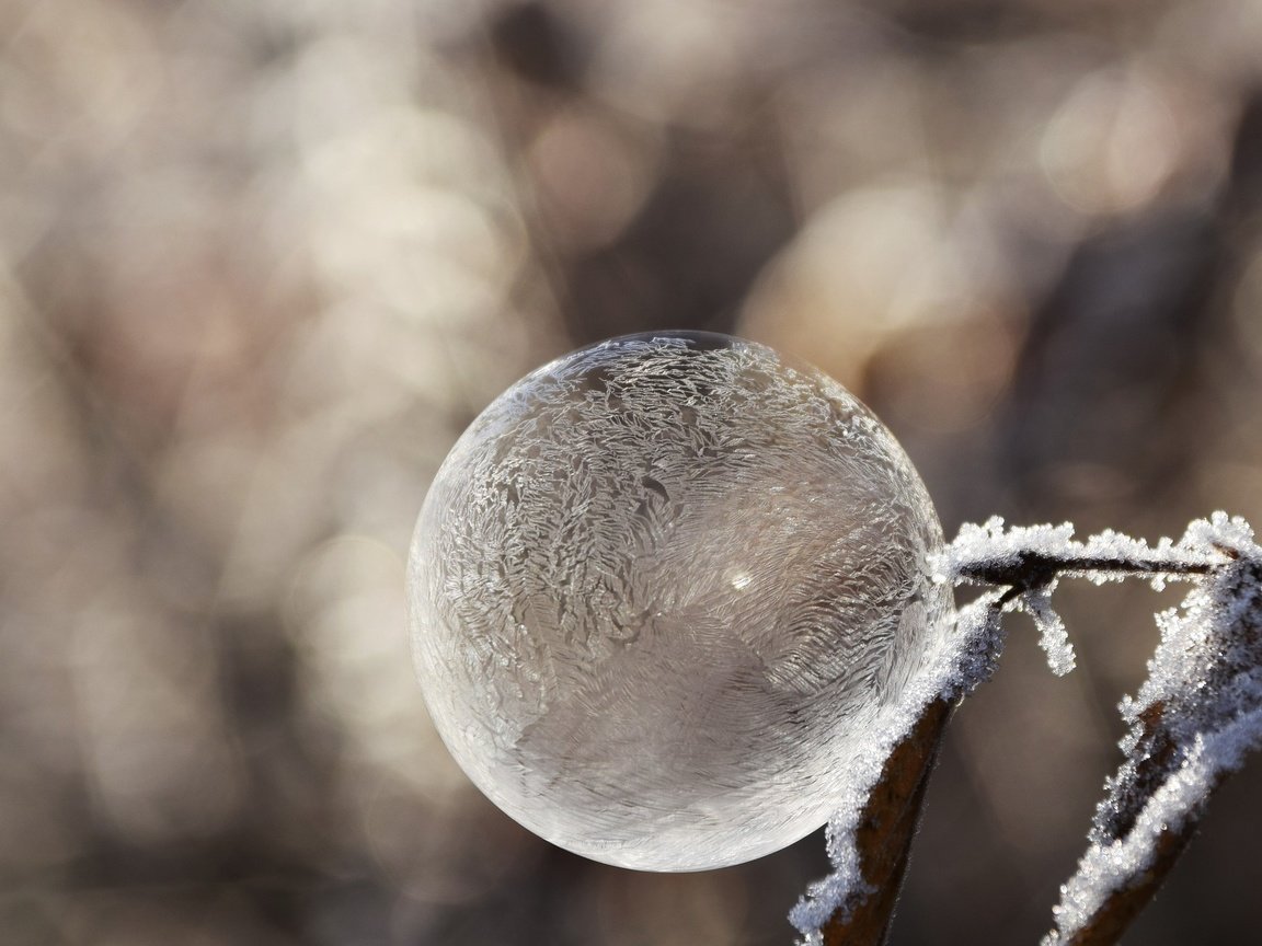 Обои зима, настроение, мороз, иней, пузырь, мыльный пузырь, winter, mood, frost, bubble разрешение 1920x1312 Загрузить