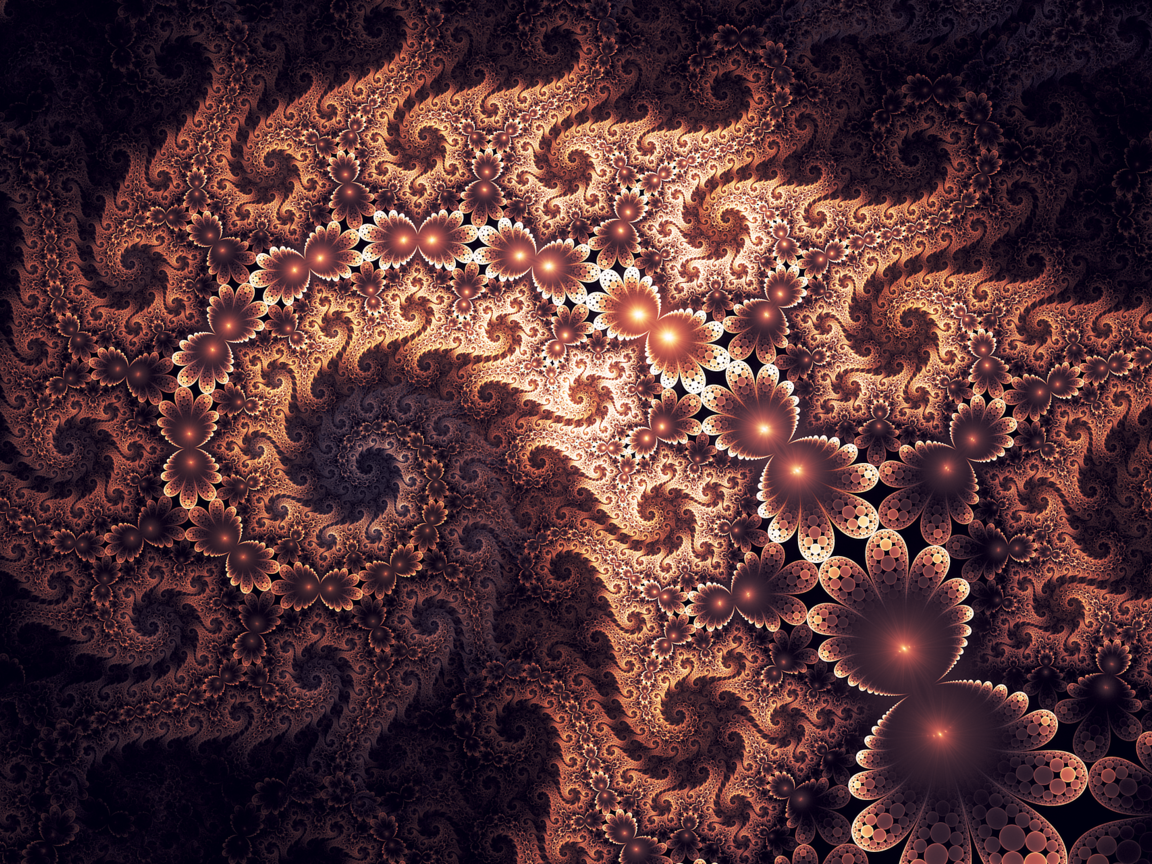 Обои цветы, абстракция, узоры, фрактал, flowers, abstraction, patterns, fractal разрешение 1920x1280 Загрузить