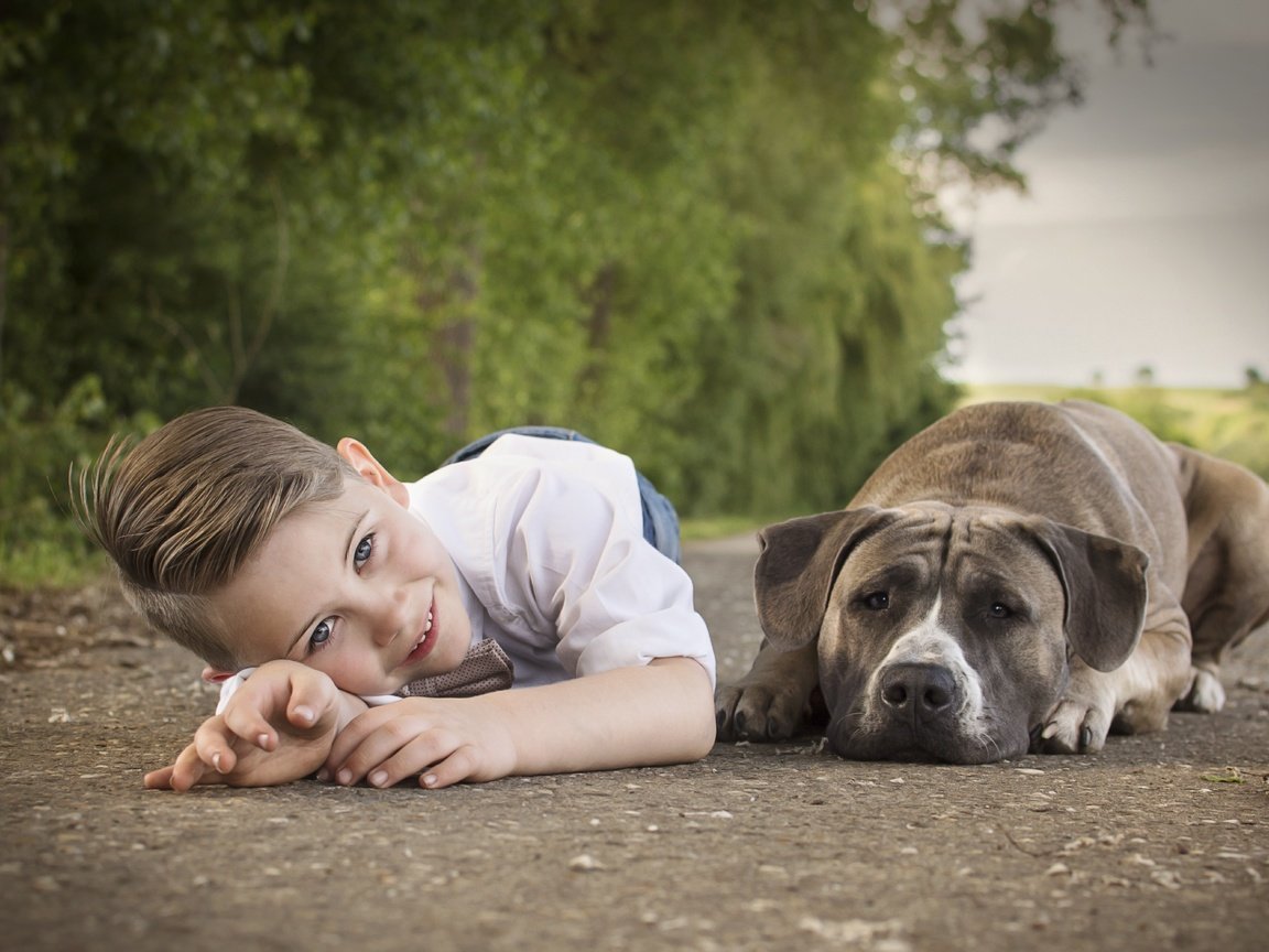 Обои улыбка, собака, ребенок, мальчик, друзья, smile, dog, child, boy, friends разрешение 6000x4000 Загрузить