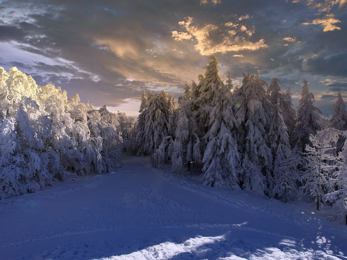 Обои небо, облака, снег, природа, лес, зима, gérard marconnet, the sky, clouds, snow, nature, forest, winter разрешение 2048x1288 Загрузить