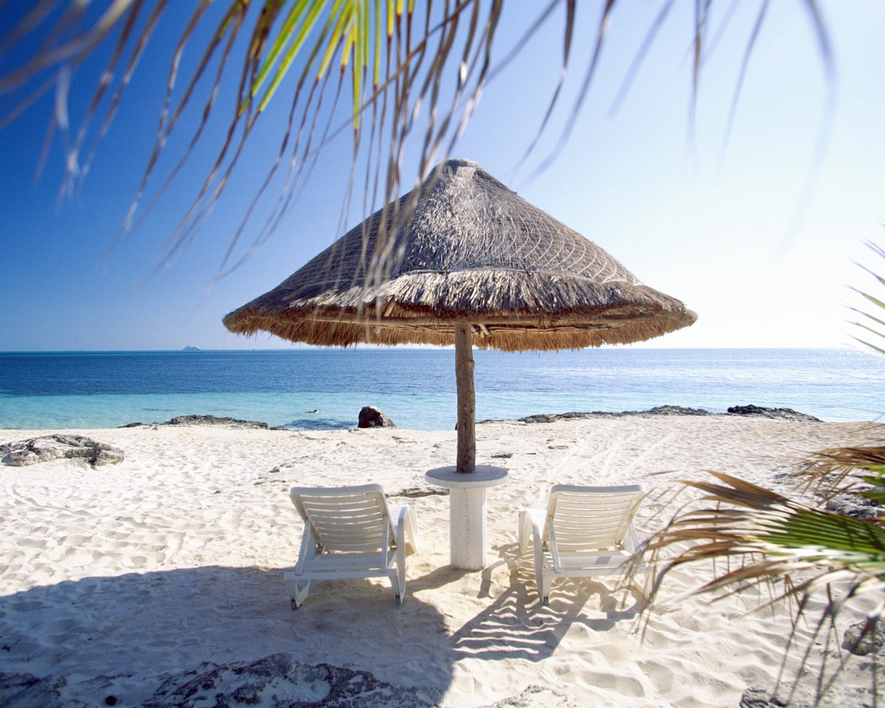 Обои песок, пляж, пальмы, sand, beach, palm trees разрешение 4044x2644 Загрузить
