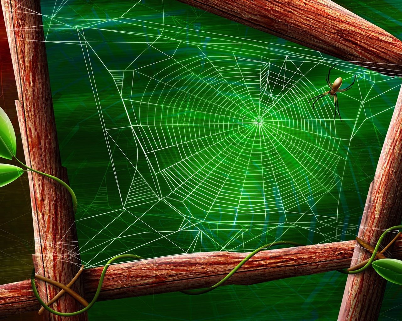 Обои зелёный, лист, паук, паутина, green, sheet, spider, web разрешение 1920x1200 Загрузить