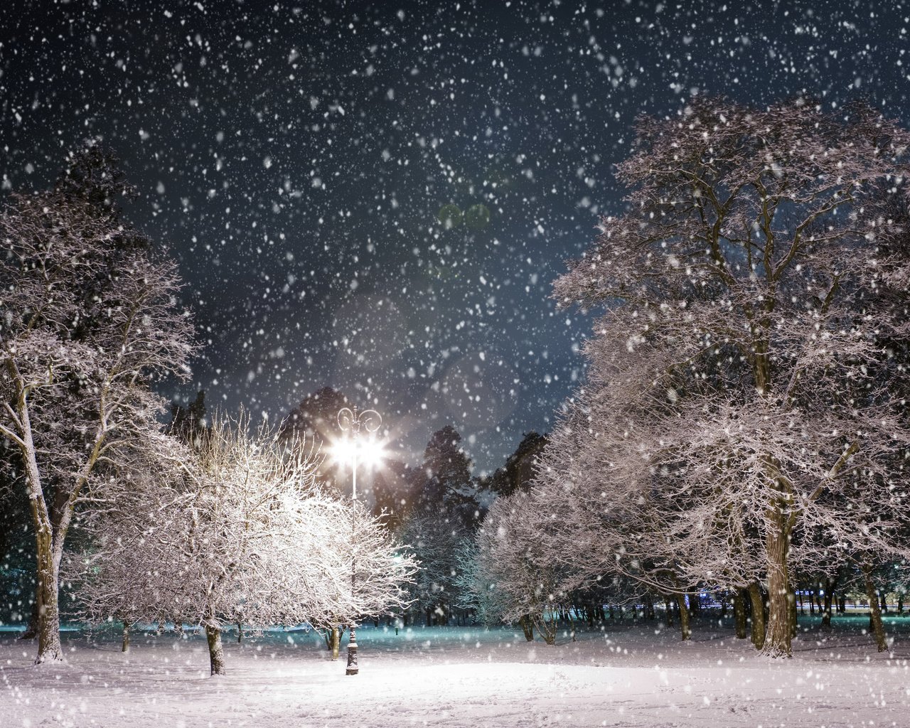 Обои ночь, деревья, снег, зима, парк, фонарь, night, trees, snow, winter, park, lantern разрешение 3984x2516 Загрузить