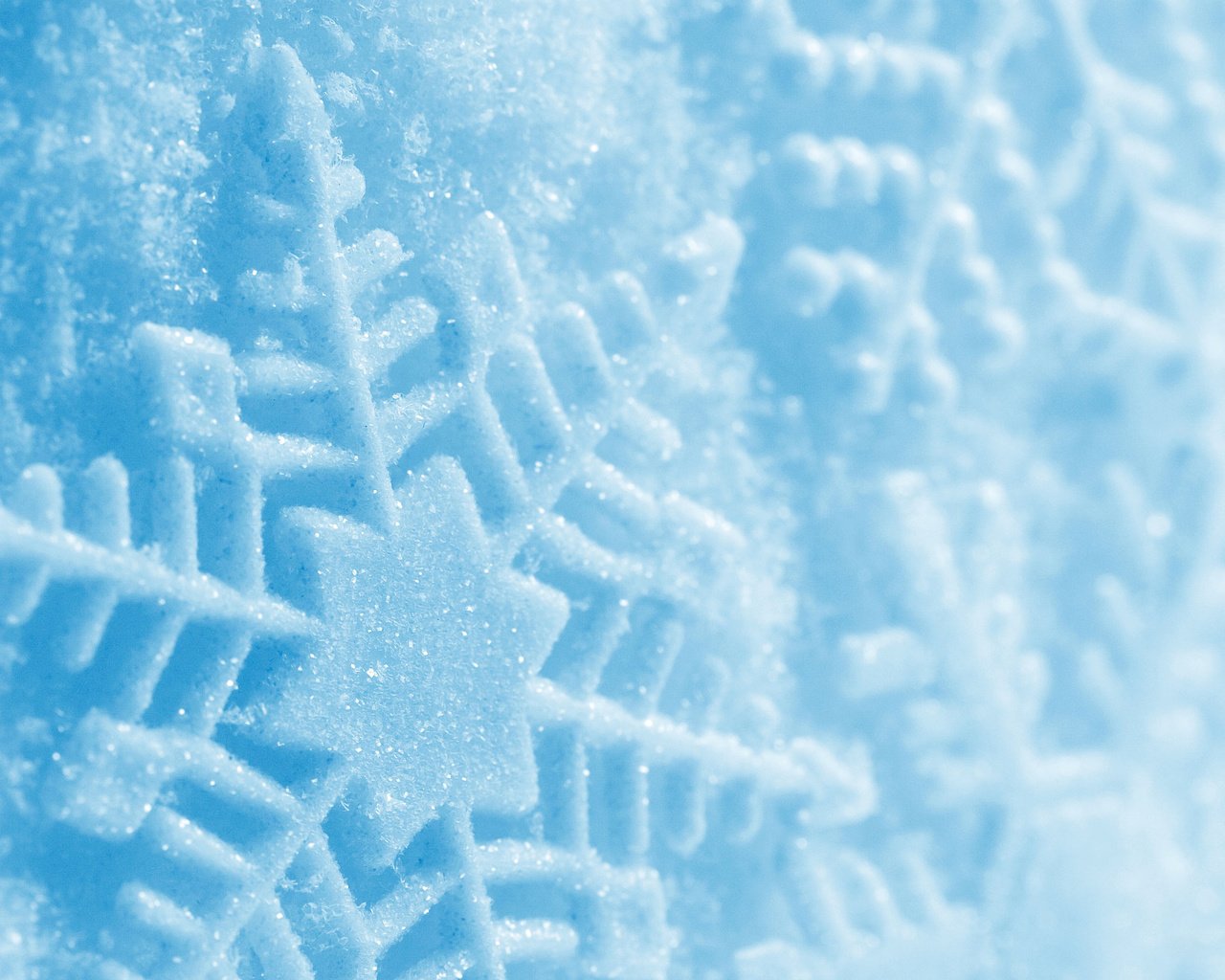 Обои снег, зима, голубой, след, snow, winter, blue, trail разрешение 2560x1600 Загрузить