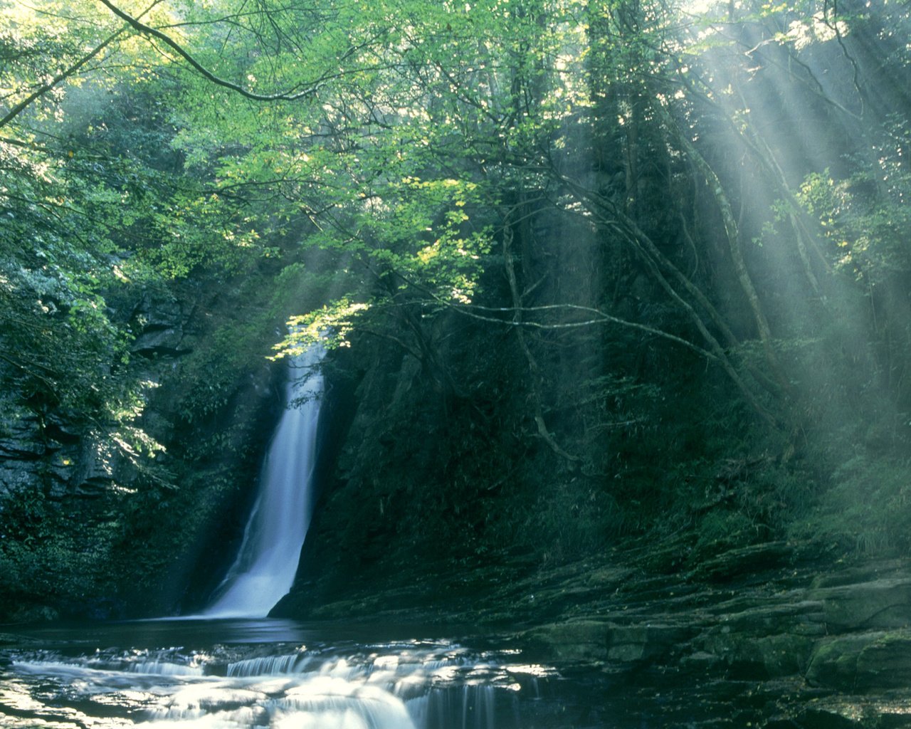 Обои лес, лучи солнца, водопад, тропики, forest, the rays of the sun, waterfall, tropics разрешение 1920x1200 Загрузить