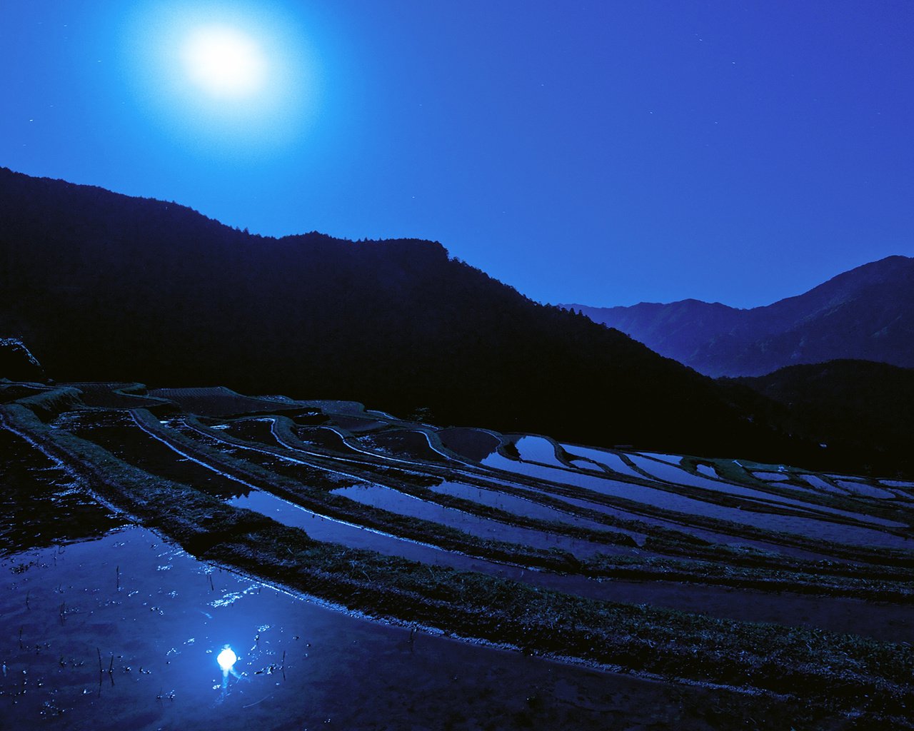 Обои ночь, луна, япония, японии, moon, рисовое поле, night, the moon, japan, rice field разрешение 1920x1080 Загрузить