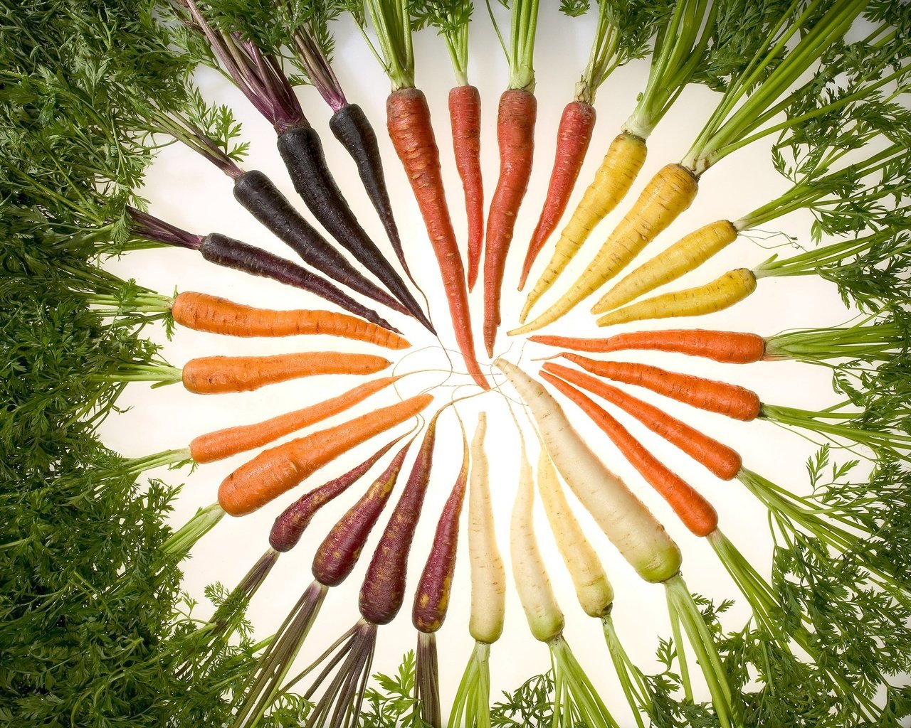 Обои еда, морковь, изобилие цвета, food, carrots, a profusion of color разрешение 2700x1675 Загрузить