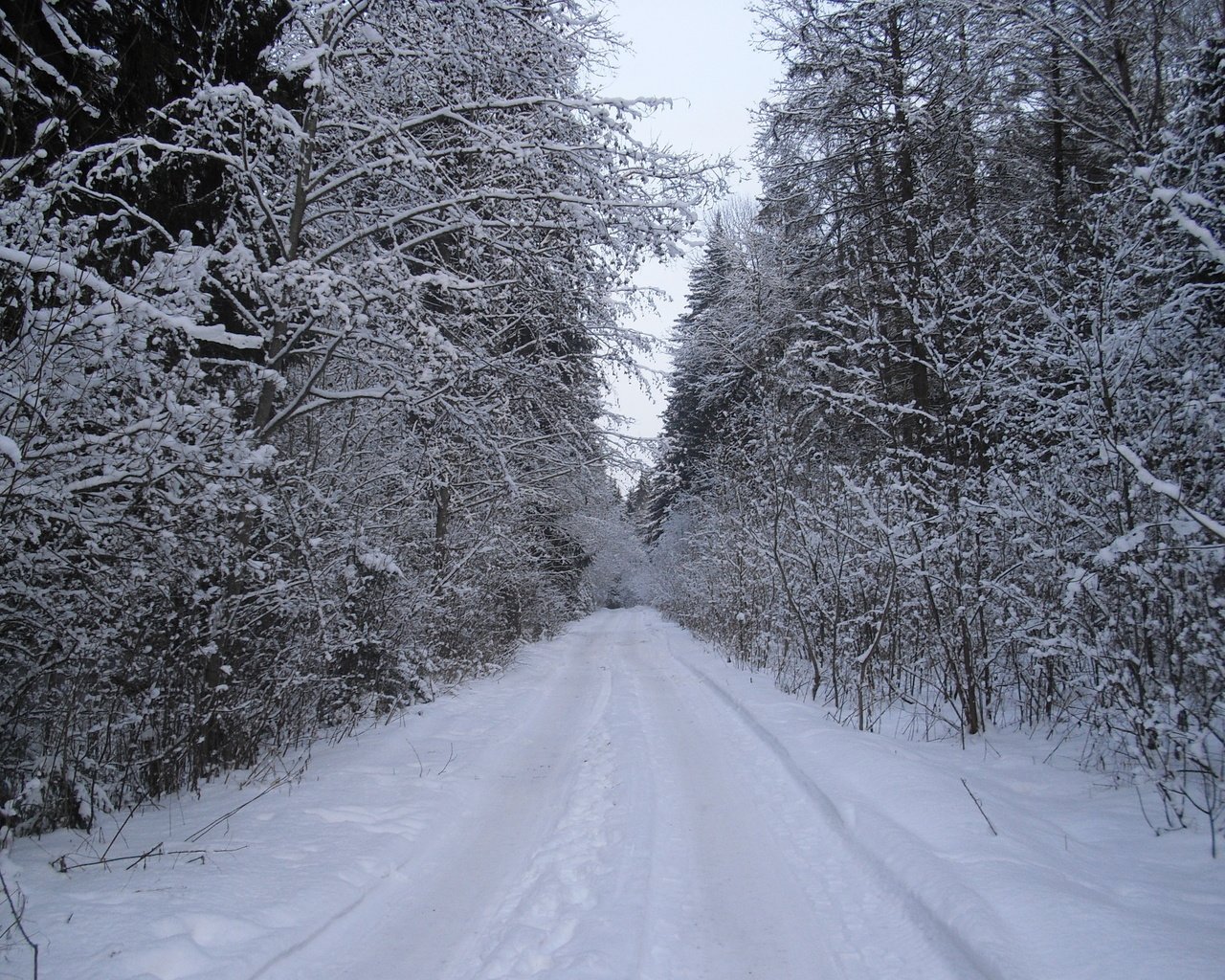 Обои дорога, лес, зима, road, forest, winter разрешение 3456x2592 Загрузить