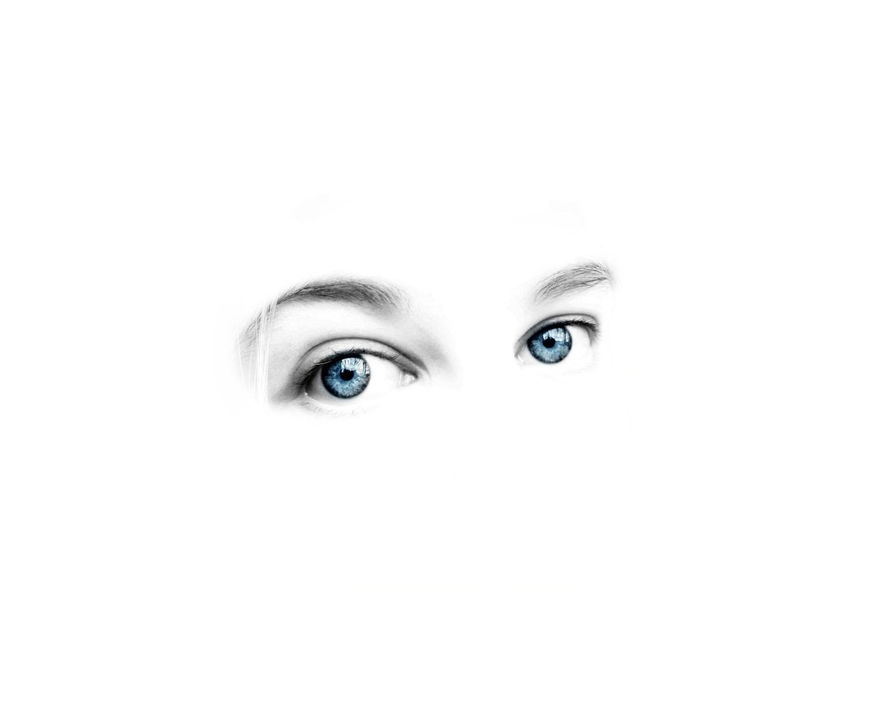 Обои глаза, человек, белый фон, eyes, people, white background разрешение 1920x1200 Загрузить