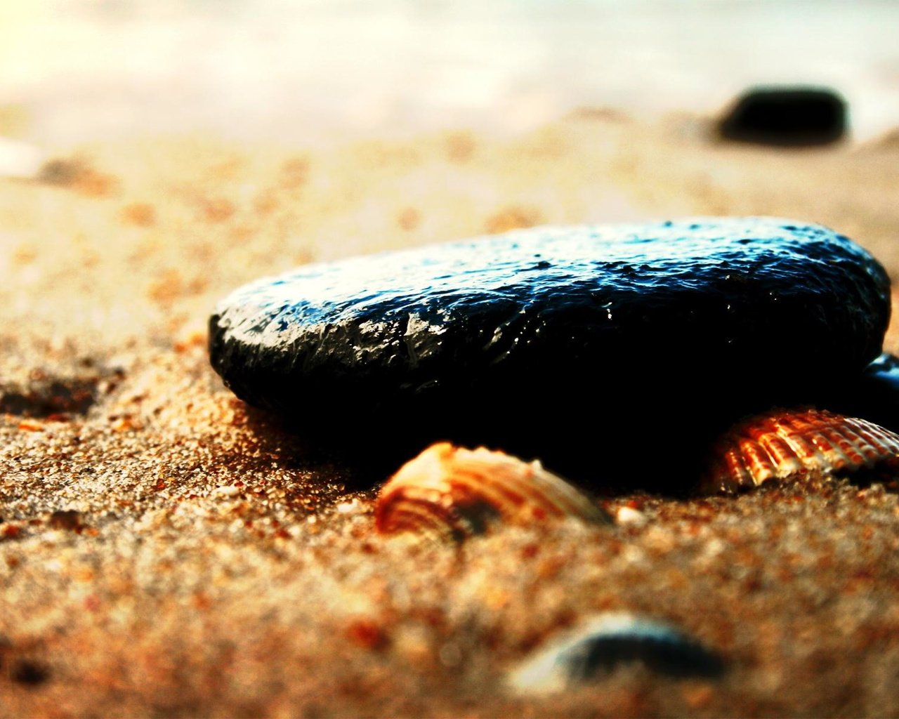 Обои песок, пляж, камень, ракушки, sand, beach, stone, shell разрешение 1920x1200 Загрузить
