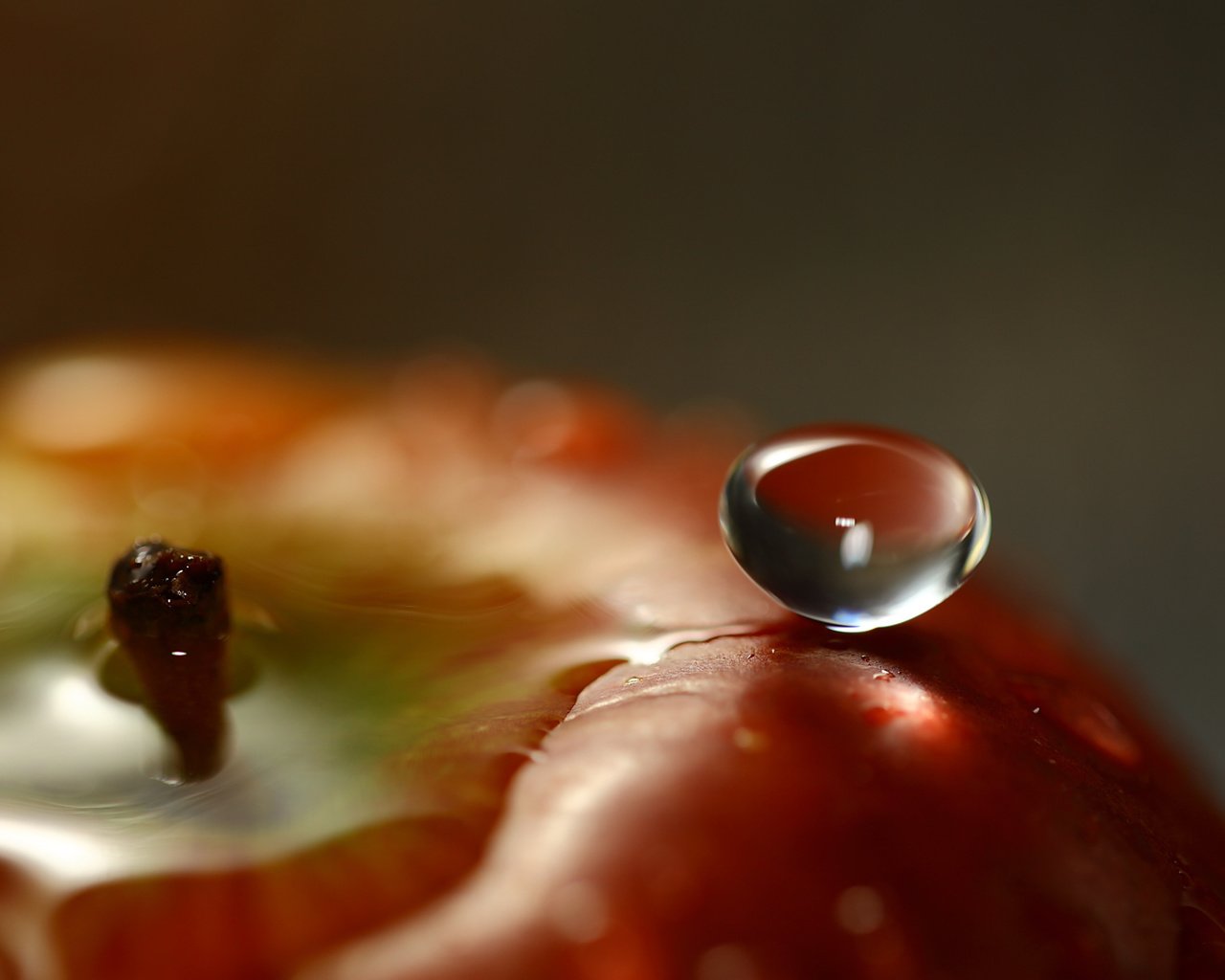 Обои вода, капля, фрукты, яблоко, крупным планом, water, drop, fruit, apple, closeup разрешение 1920x1200 Загрузить