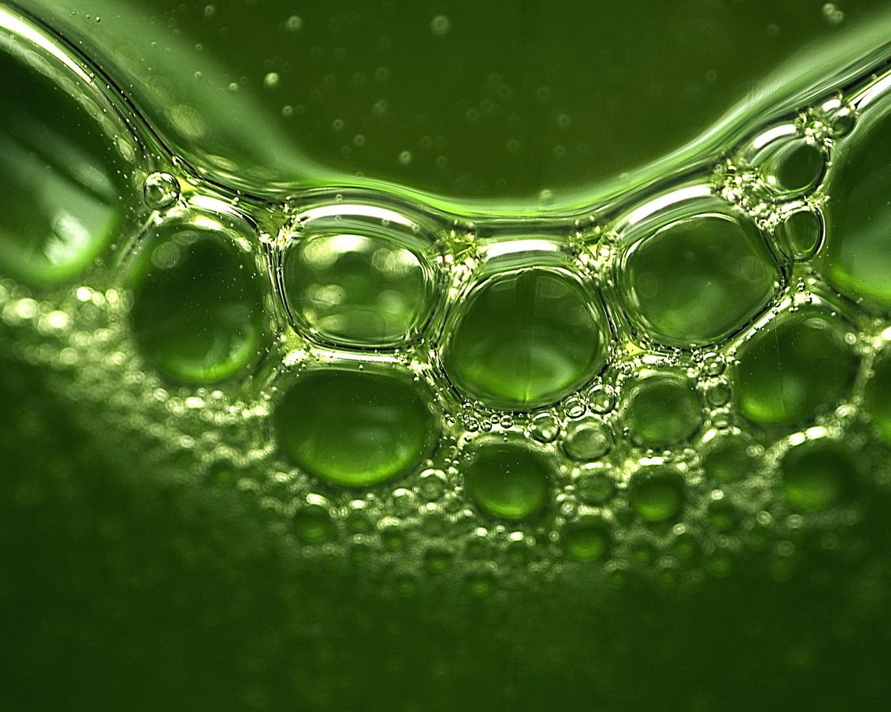 Обои отражение, пузыри, зеленые, пузырьки, жидкость, reflection, bubbles, green, liquid разрешение 1920x1440 Загрузить