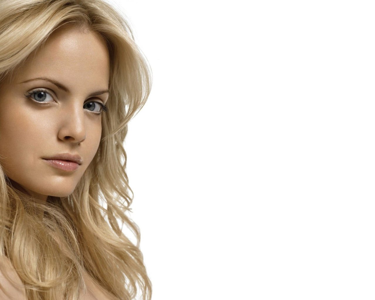 Обои девушка, портрет, взгляд, лицо, мена сувари, girl, portrait, look, face, mena suvari разрешение 1920x1200 Загрузить