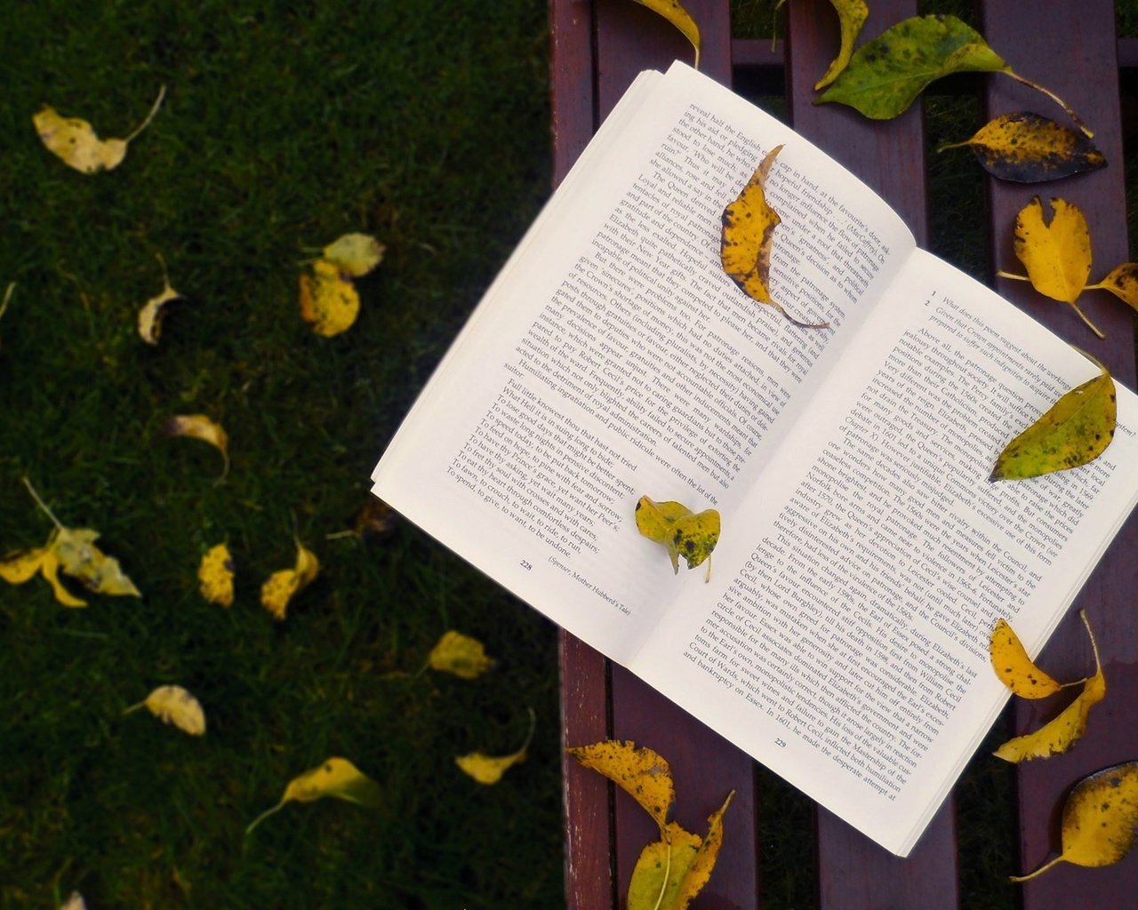 Обои трава, листья, осень, скамейка, листопад, книга, grass, leaves, autumn, bench, falling leaves, book разрешение 1920x1200 Загрузить