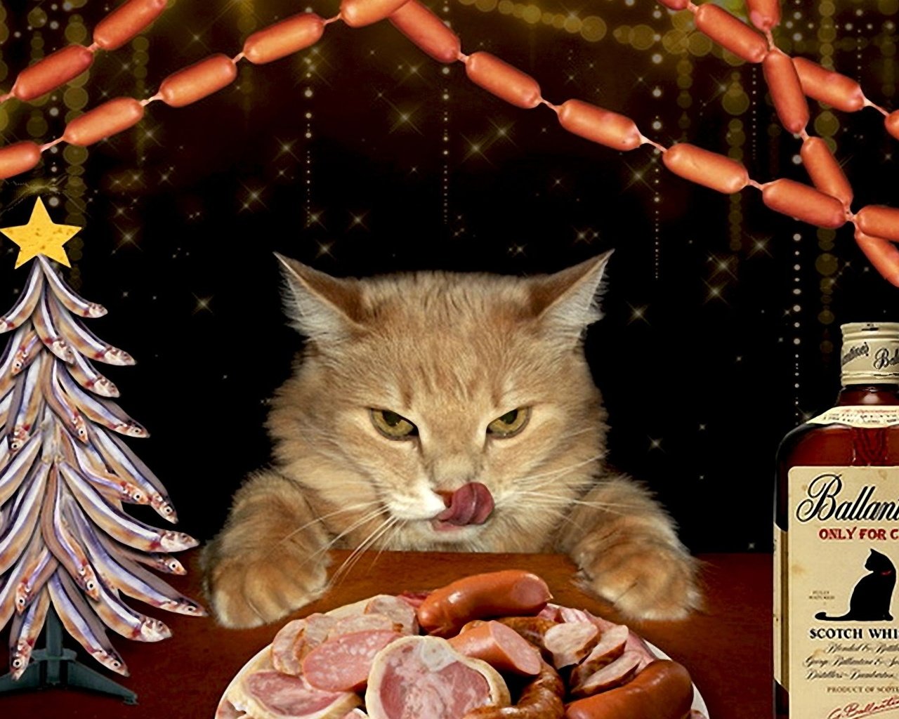 Обои морда, гирлянда, елка-рыбки, новый год, колбаса, кот, выпивка, сосиски, усы, кот за столом, мясо, пир, язык, обжора, бутылка, домашний питомец, праздник, нарезка, cutting, face, garland, tree-fish, new year, sausage, booze, cat, mustache, cat at the table, meat, feast, language, glutton, bottle, pet, holiday разрешение 1920x1200 Загрузить