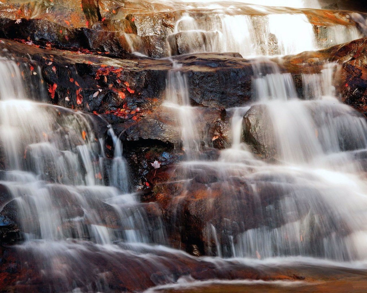Обои природа, камни, листья, водопад, каскад, nature, stones, leaves, waterfall, cascade разрешение 1920x1180 Загрузить