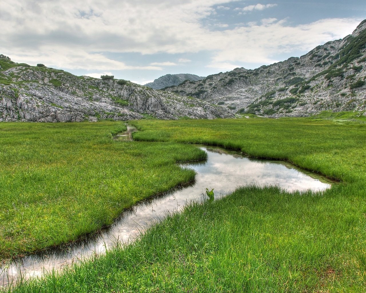 Обои трава, горы, природа, ручей, пейзаж., grass, mountains, nature, stream, landscape. разрешение 2560x1600 Загрузить