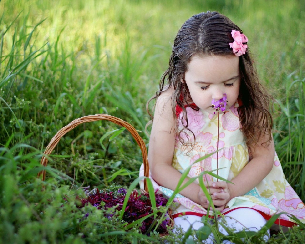 Обои трава, настроение, цветок, дети, девочка, корзинка, grass, mood, flower, children, girl, basket разрешение 2048x1365 Загрузить