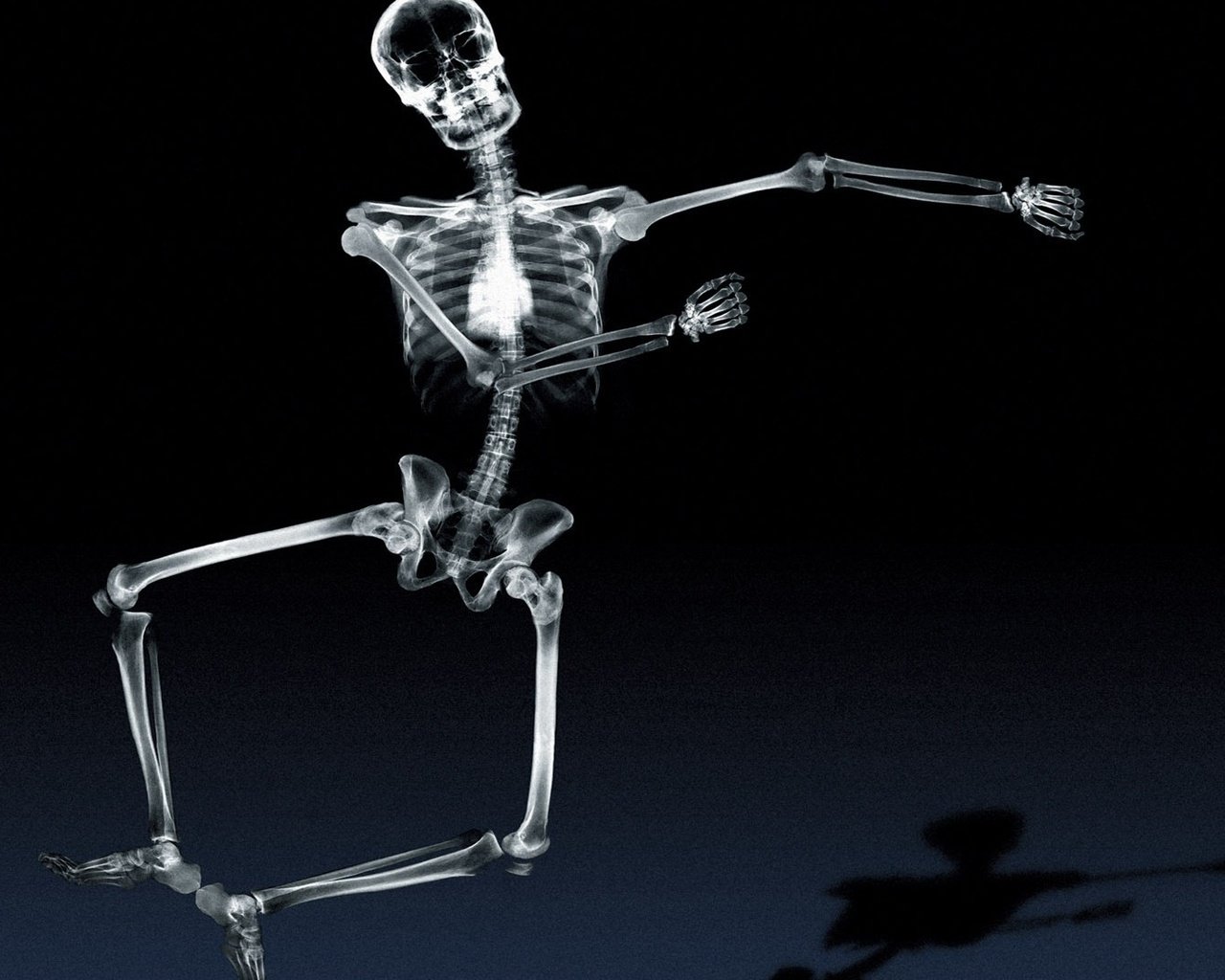 Обои тень, рентген, кости, скелет, танцует, shadow, x-ray, bones, skeleton, dancing разрешение 1920x1080 Загрузить