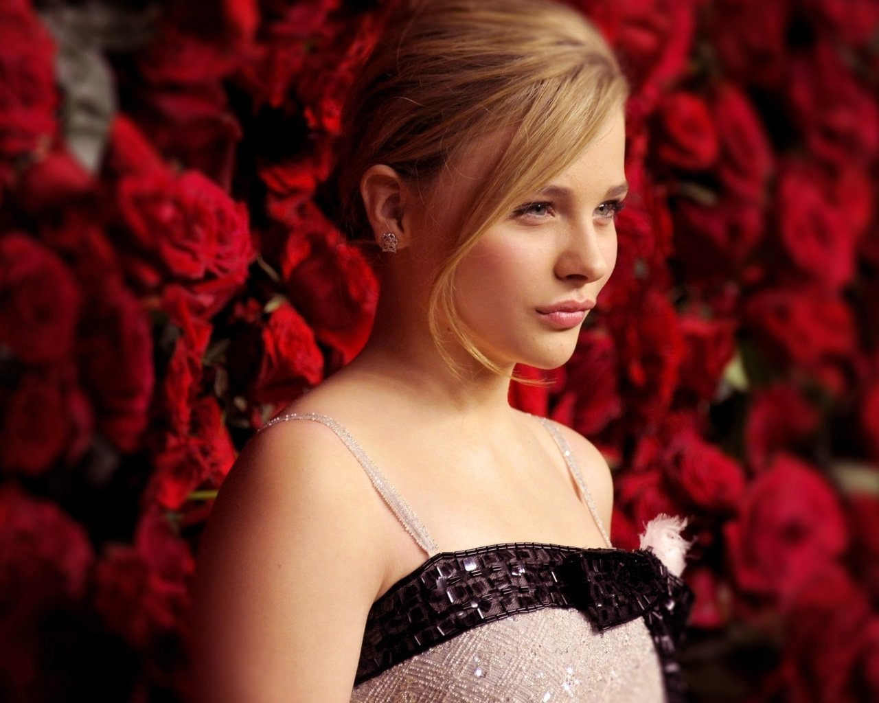 Обои розы, актриса, хлоя грейс морец, aктриса, roses, actress, chloe grace moretz разрешение 2560x1600 Загрузить