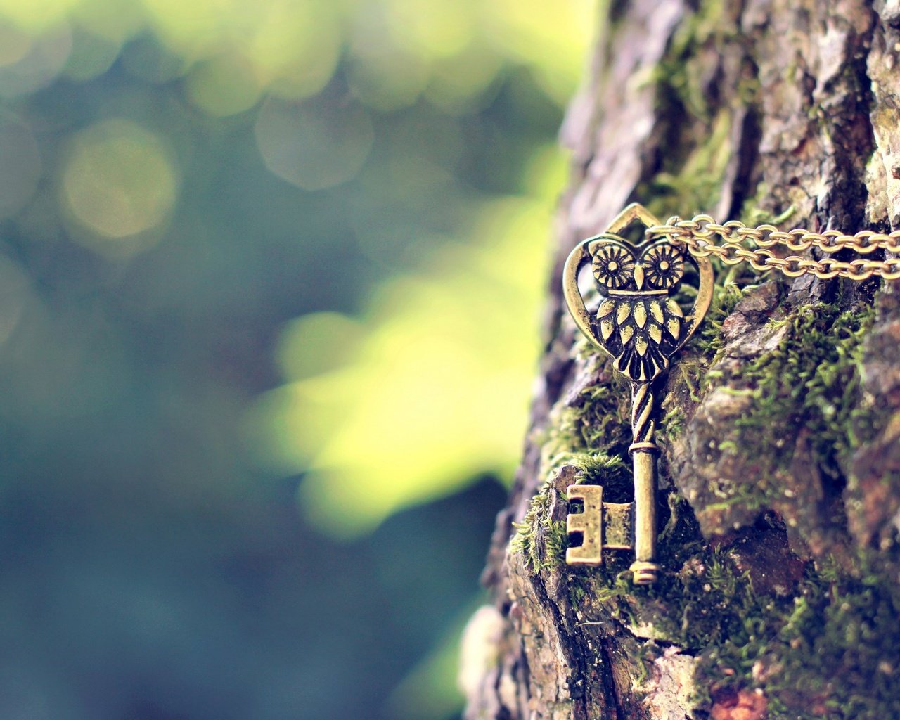 Обои сова, дерево, ключ, металлический, цепочка, подвеска, owl, tree, key, metal, chain, suspension разрешение 1920x1200 Загрузить