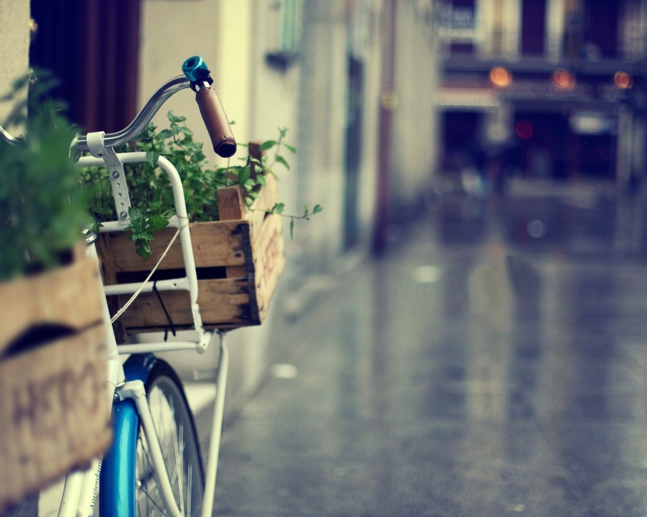 Обои зелень, город, велосипед, корзинка, greens, the city, bike, basket разрешение 1920x1200 Загрузить