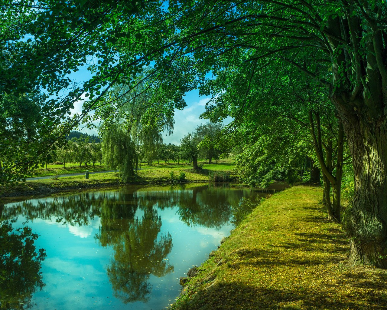 Обои деревья, река, trees, river разрешение 1920x1200 Загрузить