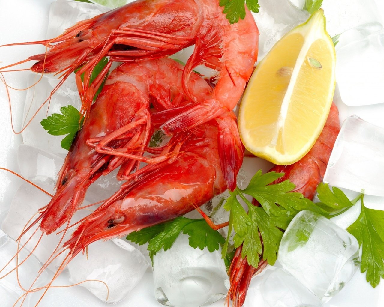 Обои лёд, лимон, морепродукты, креветки, кинза, ice, lemon, seafood, shrimp, cilantro разрешение 1920x1612 Загрузить