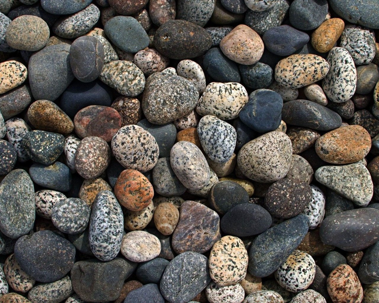Обои камни, галька, макро, разноцветная, много, камешки, stones, pebbles, macro, colorful, a lot разрешение 1920x1200 Загрузить