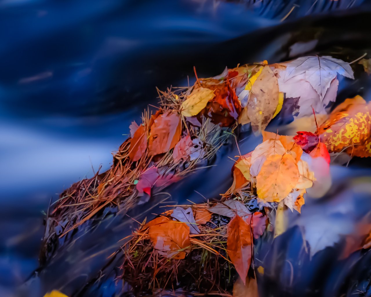 Обои река, камни, листья, ручей, осень, поток, осенние листья, river, stones, leaves, stream, autumn, autumn leaves разрешение 1931x1291 Загрузить