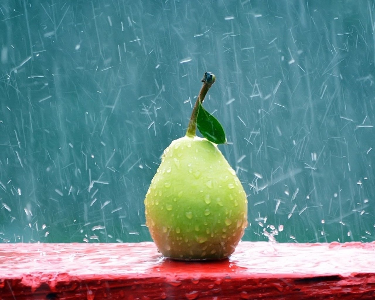 Обои капли, фрукты, дождь, плоды, груша, drops, fruit, rain, pear разрешение 1920x1080 Загрузить