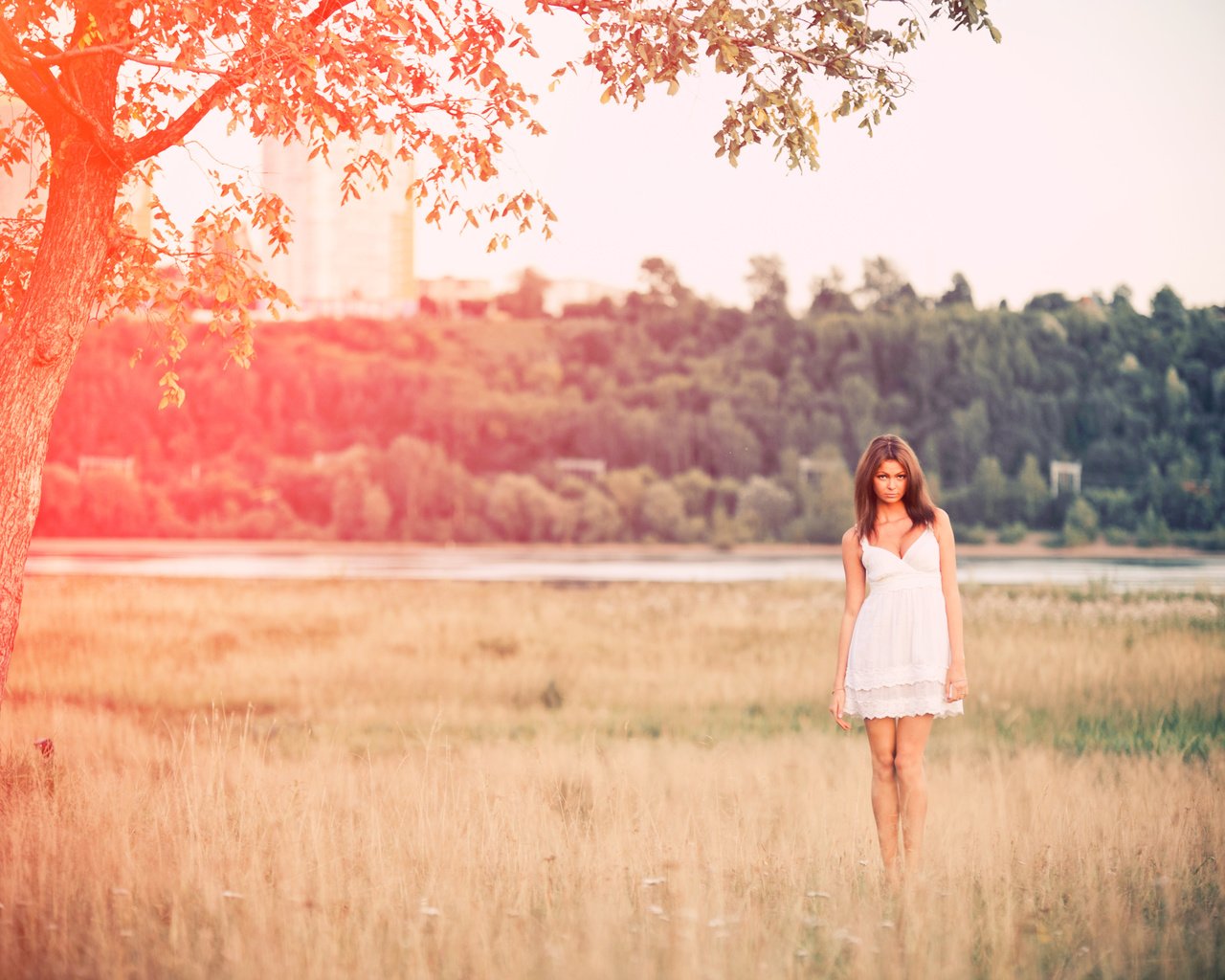 Обои природа, девушка, платье, поле, лето, nature, girl, dress, field, summer разрешение 4256x2832 Загрузить